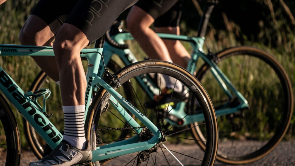365 Rider Y La Experiencia Definitiva Para Motociclistas