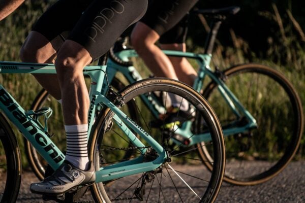 365 Rider Y La Experiencia Definitiva Para Motociclistas